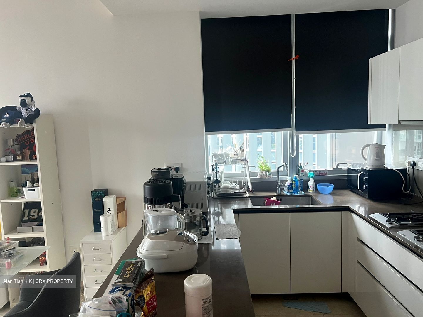 Gramercy Park (D10), Condominium #557732281